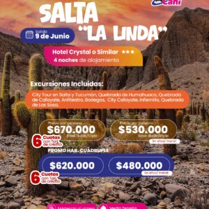 SALTA LA LINDA JUNIO
